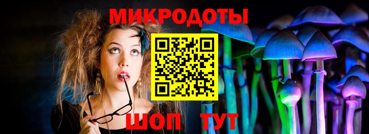 Набережные Челны  Псилоцибиновые грибы прущие грибы  Вход с VPN 